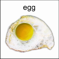 x-egg